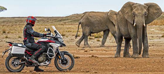 Ducati-Multistrada-V4-Rally-22-olifant.jpg